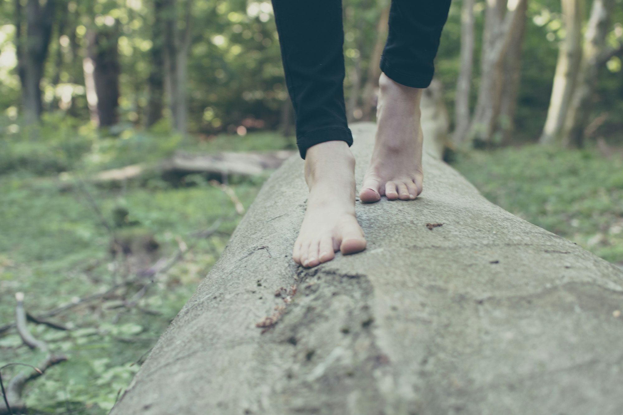 A photo a bare feet walking along a fallen tree-trunk